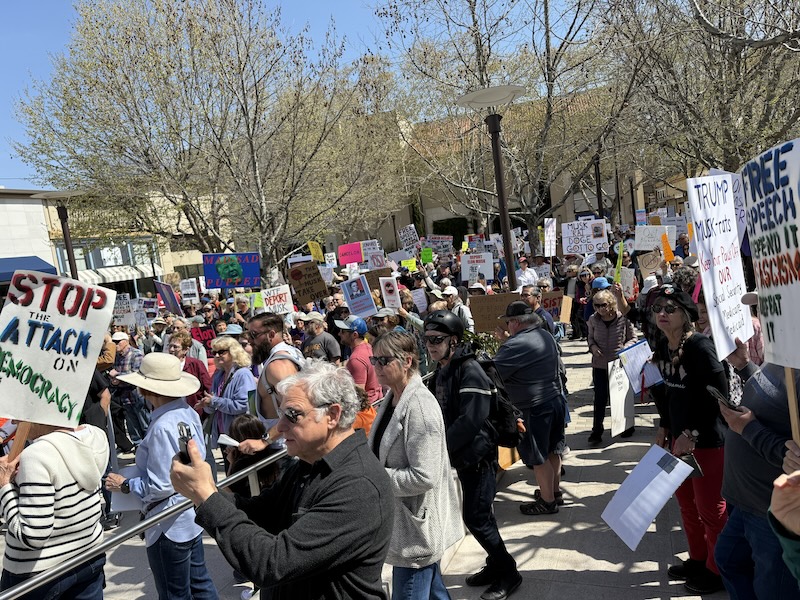 A large gathering of people holding signs protesting Trump and government actions
