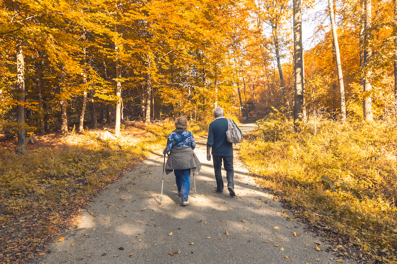 Two older adults walking on path in surrounded by golden fall leaves